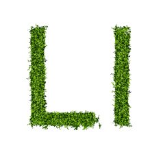 Isolated grass alphabet N16
