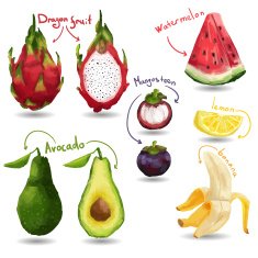 Set of tropical fruits Isolated vector