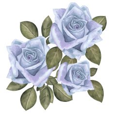Watercolor vintage blue roses flowers with leaves