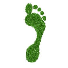 Grass footprint