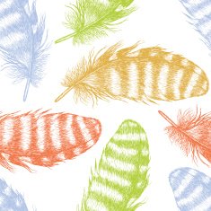 Colored feathers background N2