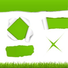 Green Torn Paper Set