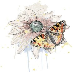 butterfly and daisy N2