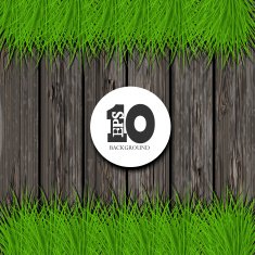 Vector Wooden Background N10