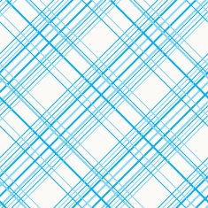Abstract illustration with Plaid Fabric Seamless vector Pattern N2