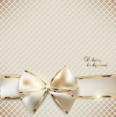Holiday banner with ribbons Vector background