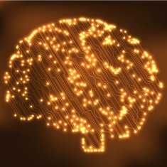 Circuit board computer brain Vector illustration N44