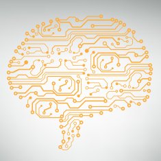 Circuit board computer brain Vector illustration N47