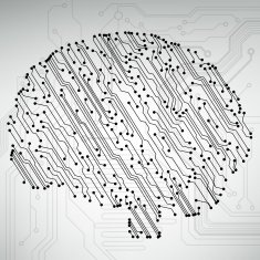 Circuit board computer brain Vector illustration N48