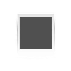 Vector photo blank N5
