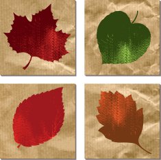 set of colors leaves on a crumpled paper