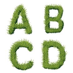 Green Grass Alphabet A B C D