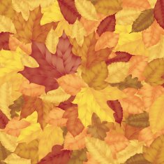Various autumn leaves background