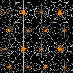 Seamless cobweb N2