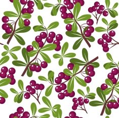 Seamless berry color ornament 297