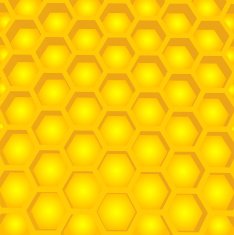 Honey cells structure