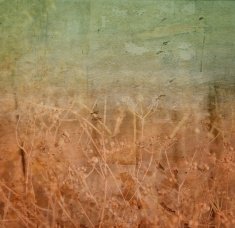 Grunge Background N1085