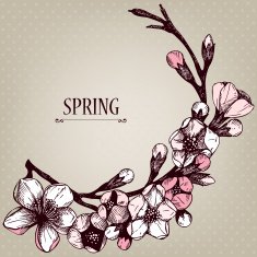 hand drawn blooming fruit tree twig illustration N3