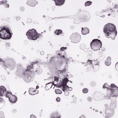 Watercolor Splashes N16