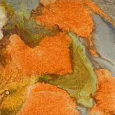 Abstract watercolor background Orange green brown Autumn vector