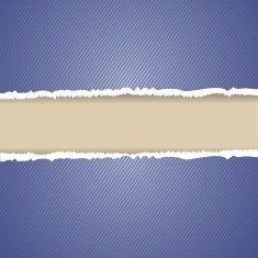Torn Paper Background N11
