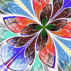 Beautiful multicolor fractal flower Computer generated graphics N11