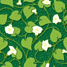 seamless morning-glory white flower background N2