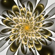 Beautiful lush beige flower on white background N2