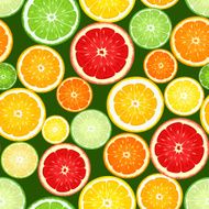 Seamless background with citrus fruits Vector illustration N4