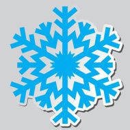 Snowflakes Vector illustration N12
