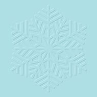 Snowflakes Vector illustration N13