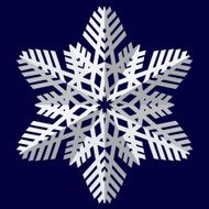 Snowflakes Vector illustration N14