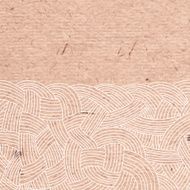 Abstract background of interwoven strands N8
