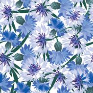 Floral summer seamless wallpaper Meadow flower cornflowers