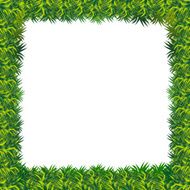 grass frame presentation