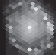 Dark Hexagonal Pattern N2