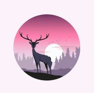 Pink Winter Sunset N2