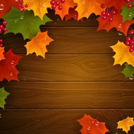 vector autumn background N23