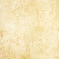Grunge Background N1107