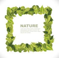 leaves frame N17