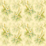 Watercolor chamomile