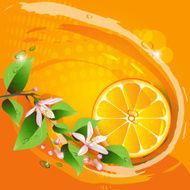 Background with juicy slice of orange fruit