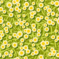 yellow white flowers seamless background pattern N2
