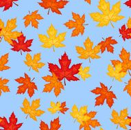 Seamless pattern with autumn maple leaves Vector illustration N9