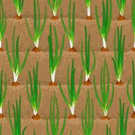 onion sprout vegetable patches in row seamless