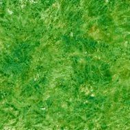 green patchy abstract on canvas