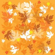 Autumnal background N6