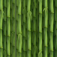 Seamless green bamboo background
