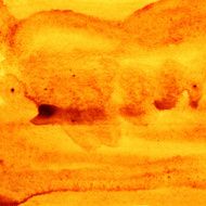 yellow background N91