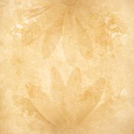 Grunge floral background N113